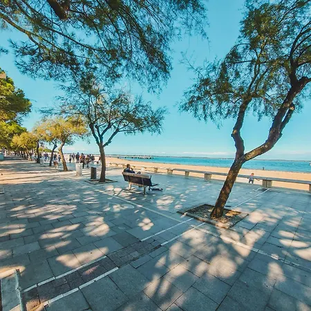 Le Ti Buch Mobilhome En 4 Etoiles Avec Terrasse Plancha Et Climatisation Kamp alanı La Teste-de-Buch