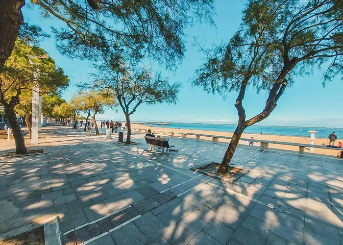 Le Ti Buch Mobilhome En 4 Etoiles Avec Terrasse Plancha Et Climatisation Camping La Teste-de-Buch